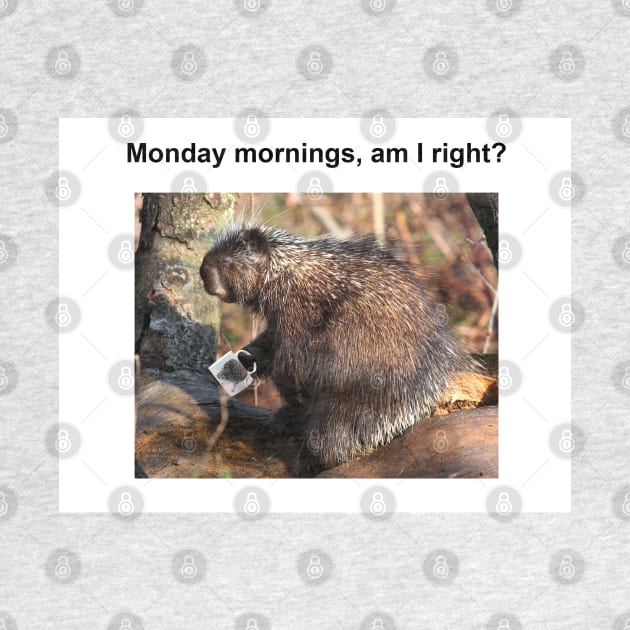 Monday Mornings, Am I Right? by Jim Cumming